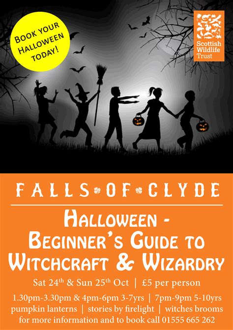 Fascinating Tales: Witchy Halloween Books to Ignite Your Imagination